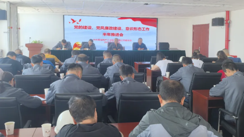 工投公司黨委召開黨的建設(shè)、黨風(fēng)廉政建設(shè)、意識形態(tài)工作半年推進(jìn)會